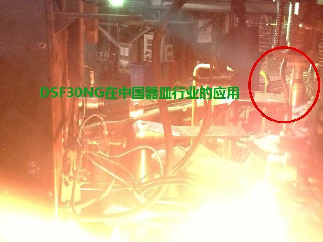 DSF30NG在中國器皿玻璃行業的應用