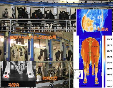 VIONA�F�t�ھ��t��������ϵ